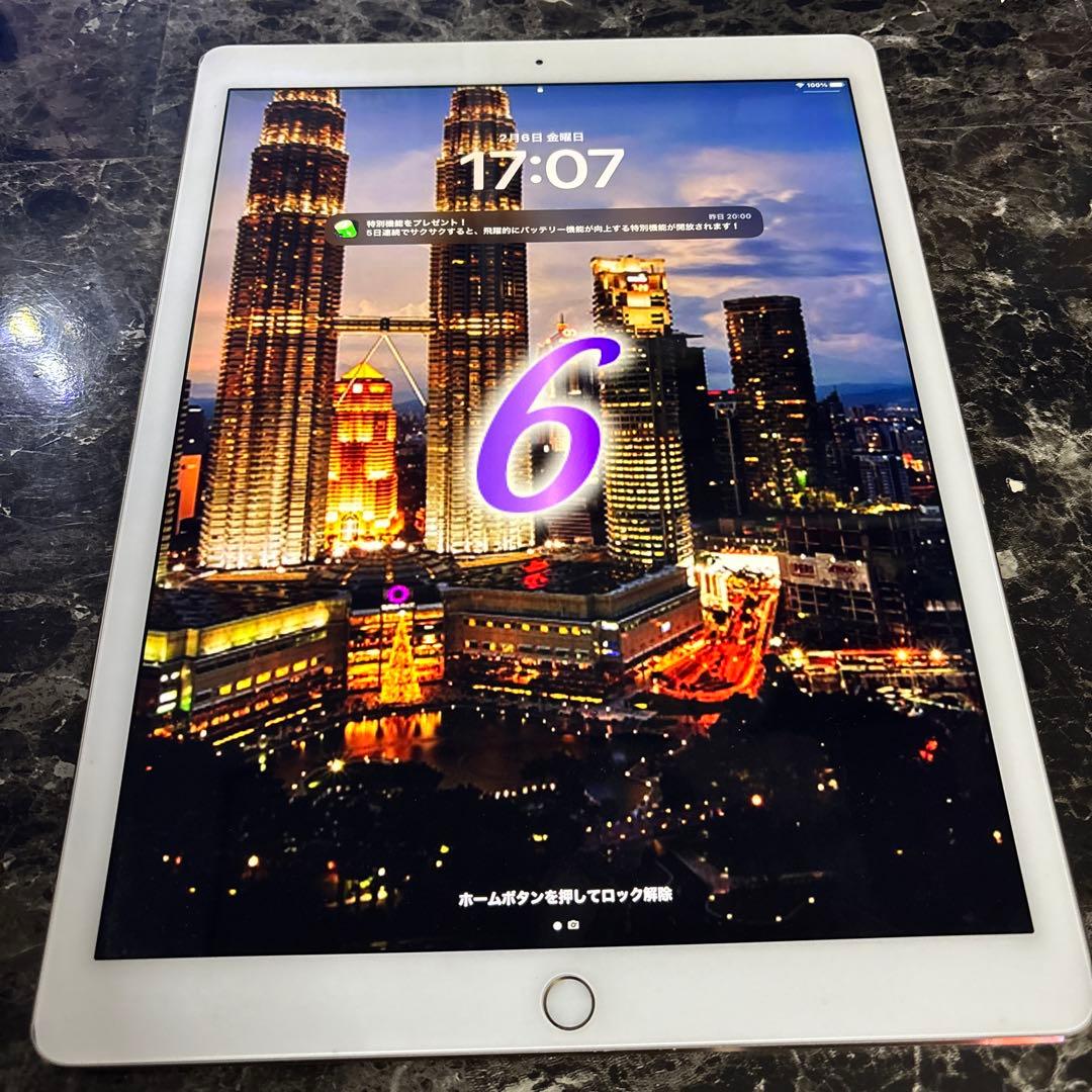 ipad Pro 12.9インチ第二世代128GB 動作確認済　お値下依頼受付中 Apple iPad Pro 12.9インチ 第5世代 Wi-Fi+Cellular 2TB 2021年春